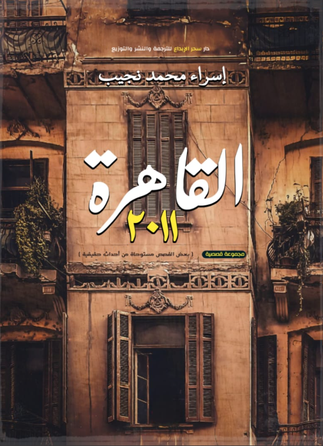 القاهرة 2011